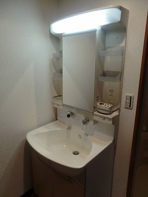 Other. Independent wash basin