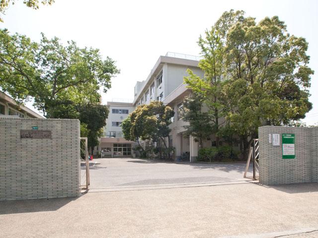 Junior high school. 100m to Edogawa Ward Shinozaki second junior high school