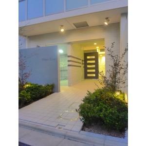 Other. It is fashionable appearance.