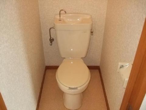 Toilet. Toilet