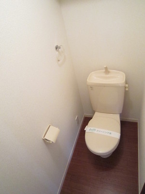 Toilet. Beautiful toilet