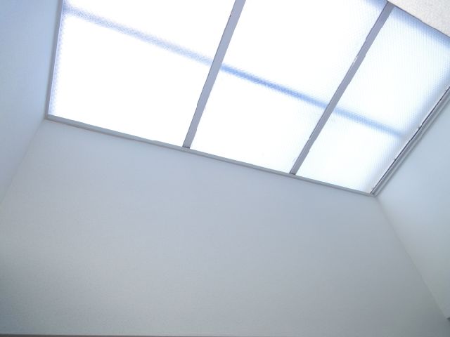Other. Skylight