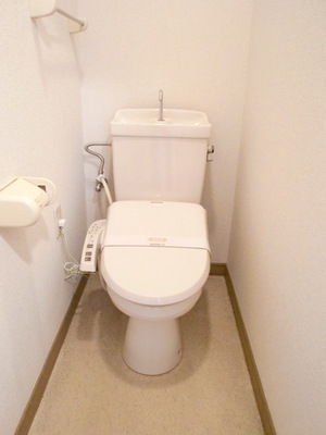 Toilet. Photo is inverted type
