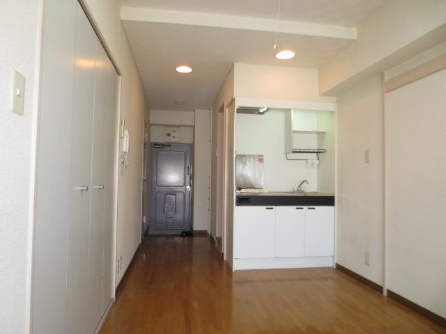 Living and room. Western-style 1