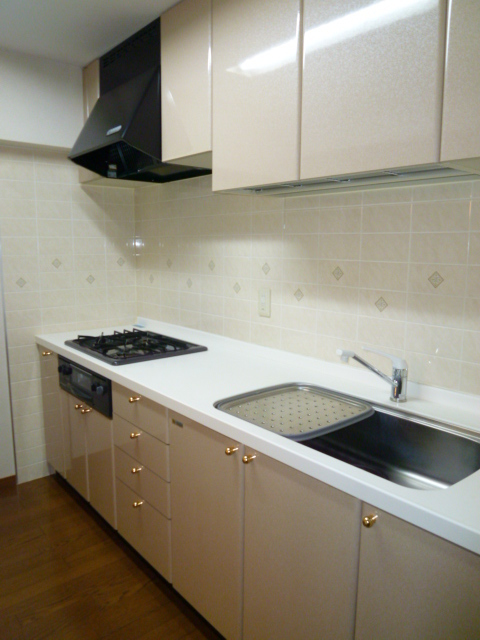 Kitchen. System kitchen