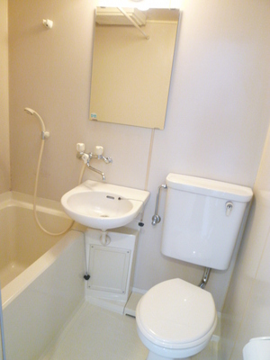 Toilet. Western-style toilet