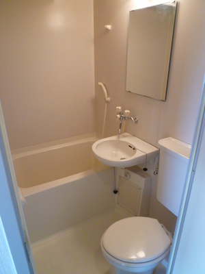 Bath. Bathroom Dryer