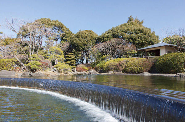 Row boat park (8-minute walk / About 640m) (6 May 2012 shooting). Edogawa Natural Zoo (11 minutes' walk / The hotel has about 840m), Children you're carefree play environment