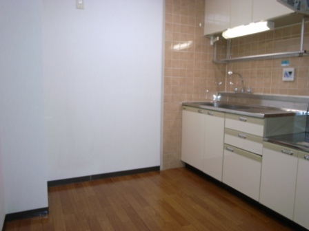 Kitchen. Easy-to-use mixing faucet