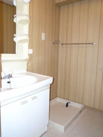 Washroom. Washroom, Washing machine in the room, Dressing room