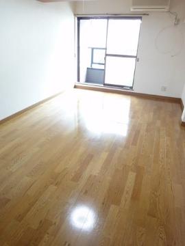 Living and room. Western style room