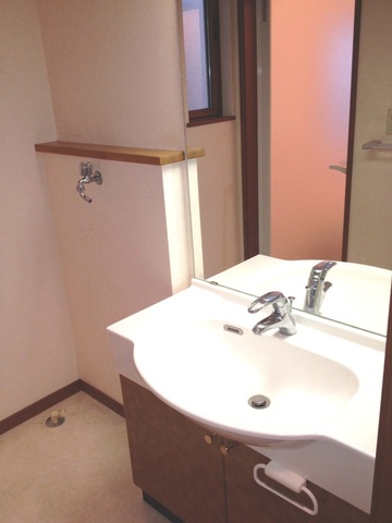 Washroom. Bathroom vanity