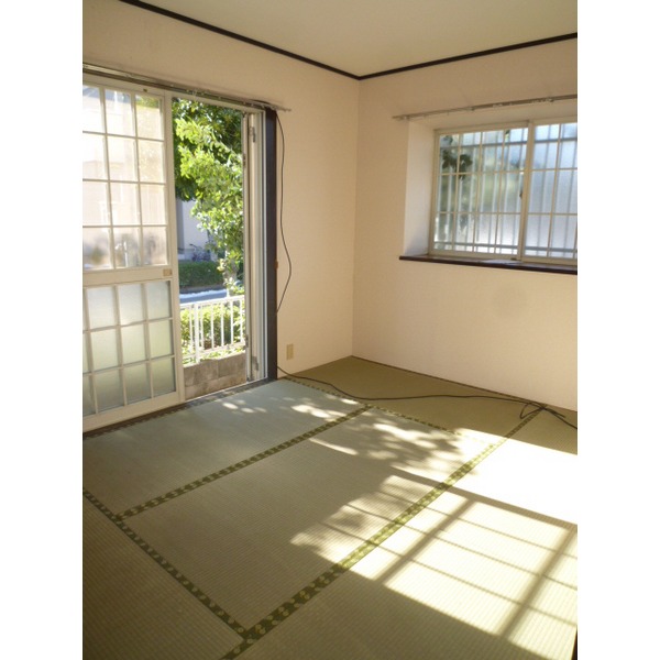 Living and room. Sunny