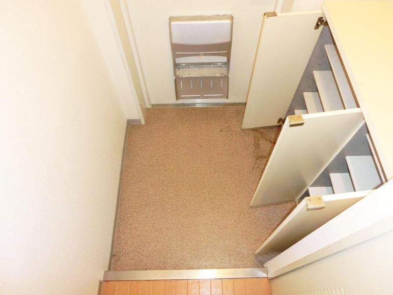 Entrance. There are shoe box.