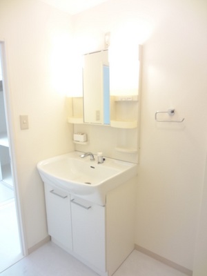 Washroom. Shampoo dresser