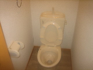 Toilet. Toilet