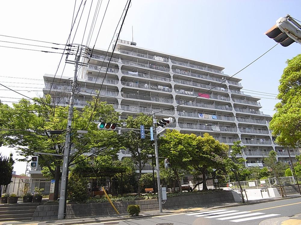 Local appearance photo. Local (May 2013) Shooting