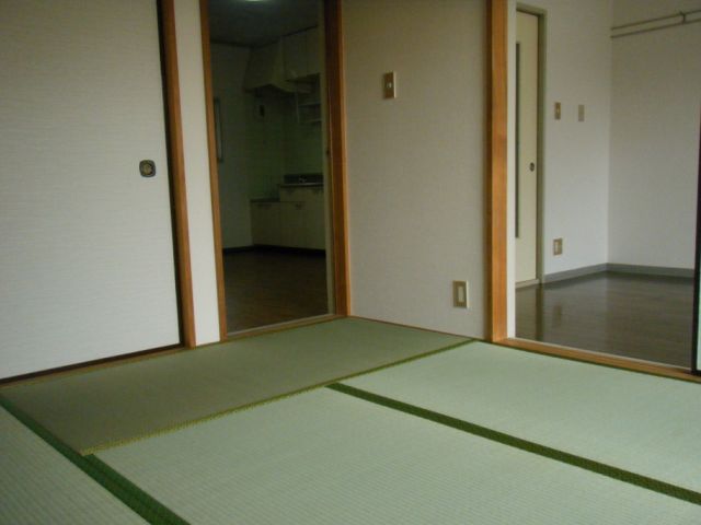 Living and room. Continuing between the two, It will spread also take advantage of the range of the room. 