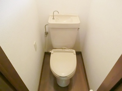 Toilet. Toilet with a warm toilet seat.