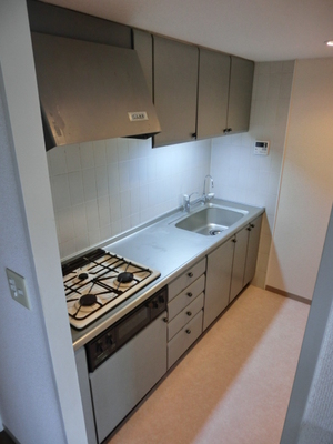 Kitchen. It is easy to use because the living room and kitchen are independent