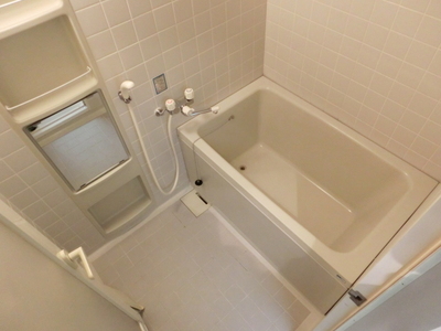 Bath. Bathroom with cleanliness