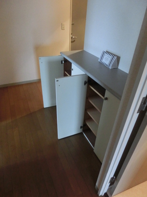 Entrance. Shoe box equipped