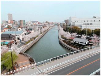 park. It is a photograph of the part that is 230m completed until Shinkawa Senbonzakura.