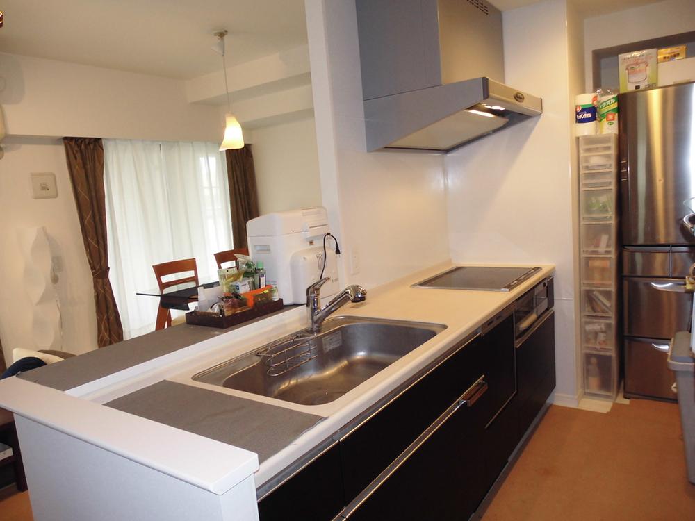 Kitchen. Indoor (11 May 2013) Shooting