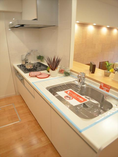 Kitchen. Face-to-face kitchen