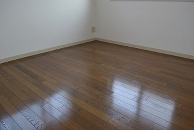 Living and room. Western-style room 5.2 Pledge, Clean flooring