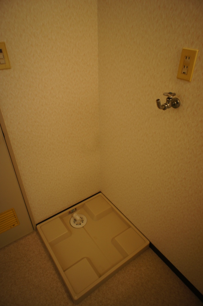 Washroom. Washing machine in the room