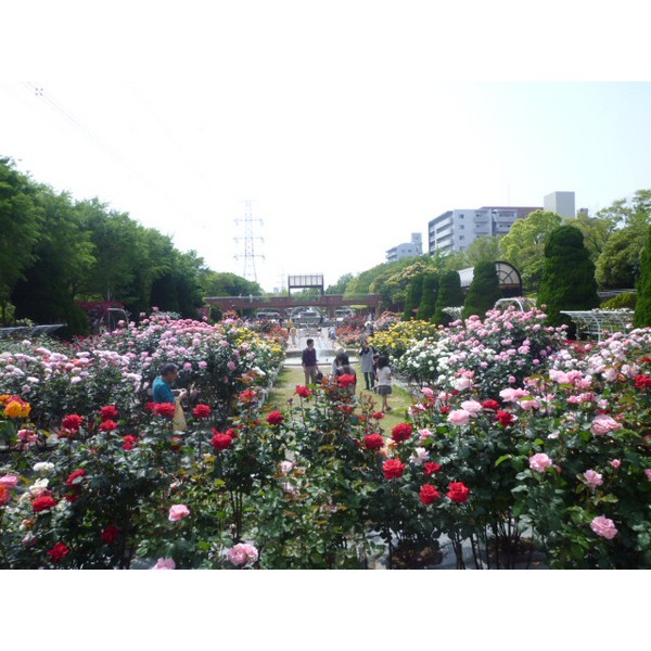 park. Horie 790m to the park (park)