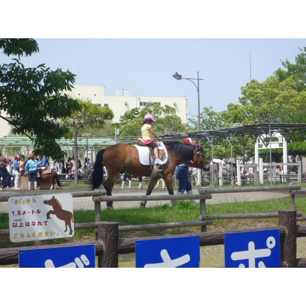 park. Horie 790m to the park (park)