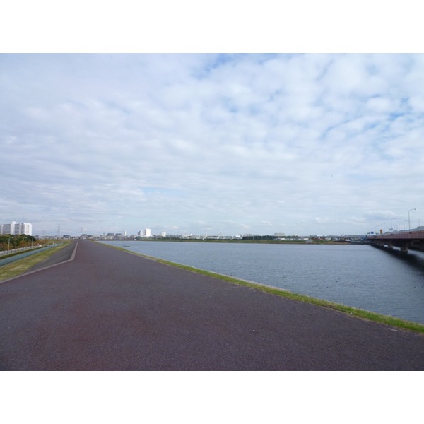 park. Horie 790m to the park (park)