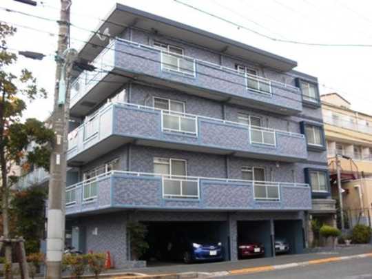 Local appearance photo. Mansion appearance