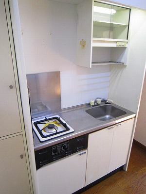 Other. Popular gas stove