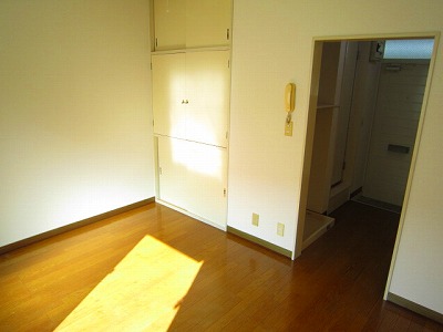 Living and room. Bright room where sun plug