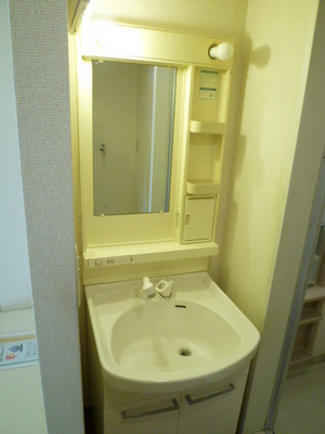 Washroom. Independent wash basin