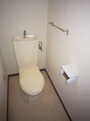 Toilet. Western-style toilet