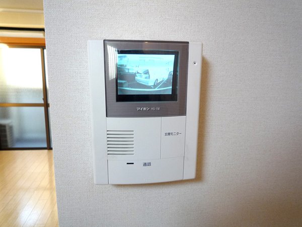 Security. Monitor with intercom