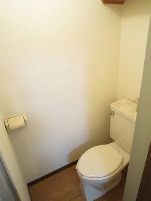 Toilet. Western-style toilet