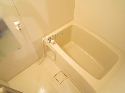 Bath. Bathroom with cleanliness