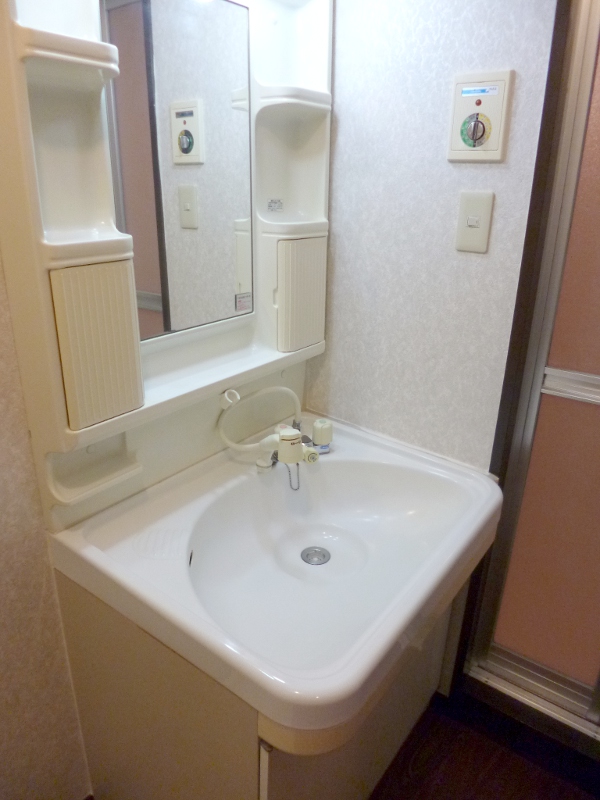 Washroom. Shampoo dresser