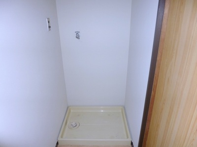 Other. There is indoor washing machine Storage.