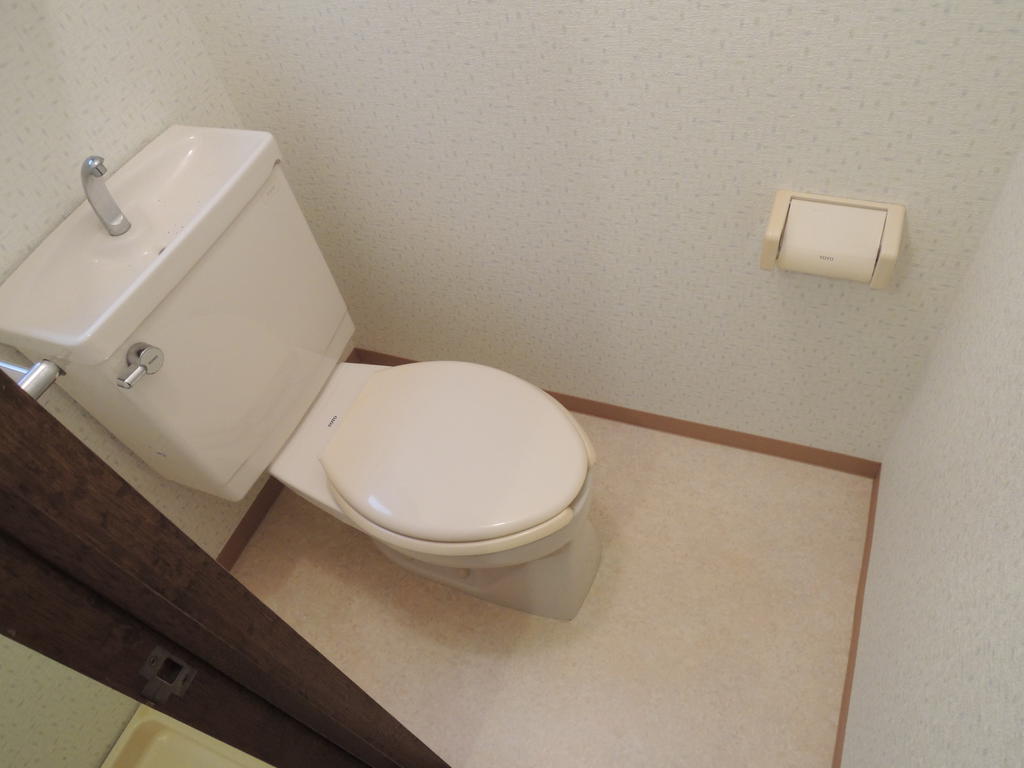 Toilet. The same type reference photograph