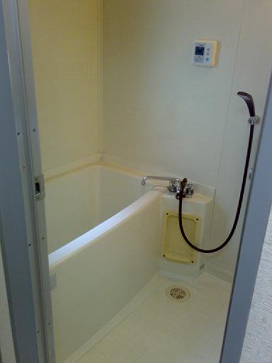 Bath. Bathtub of spread