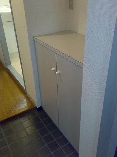 Entrance. With cupboard