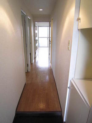Entrance. Corridor