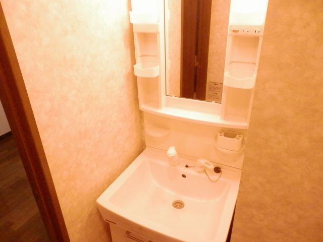 Washroom. Independent wash basin