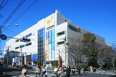 Supermarket. 781m until the Daiei Higashi-Ojima store (Super)